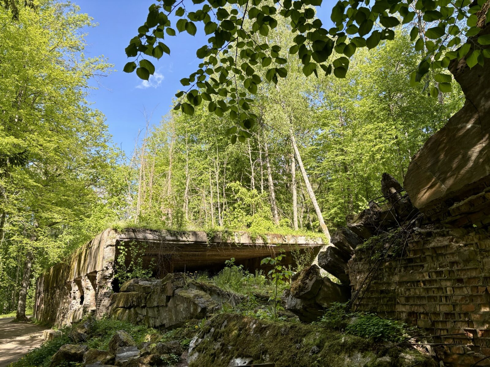 Roadtrip Polen: Wolfsschanze