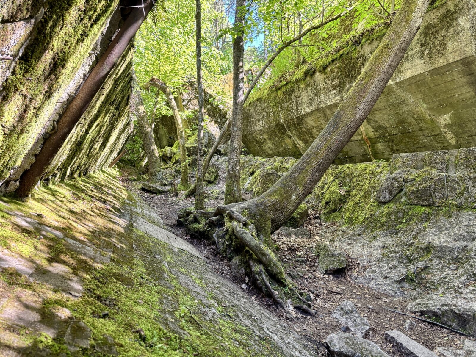 Roadtrip Polen: Wolfsschanze