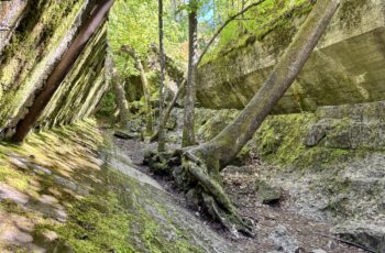 Roadtrip Polen: Wolfsschanze