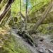 Roadtrip Polen: Wolfsschanze