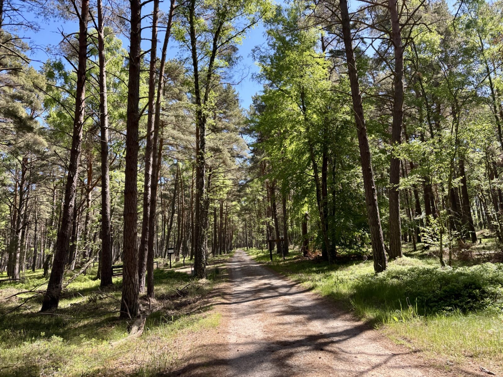 Radfahren und wandern in Polen: Slowinski Park Narodowy