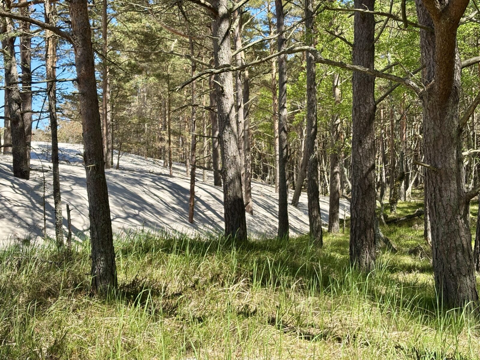 Radfahren und wandern in Polen: Slowinski Park Narodowy