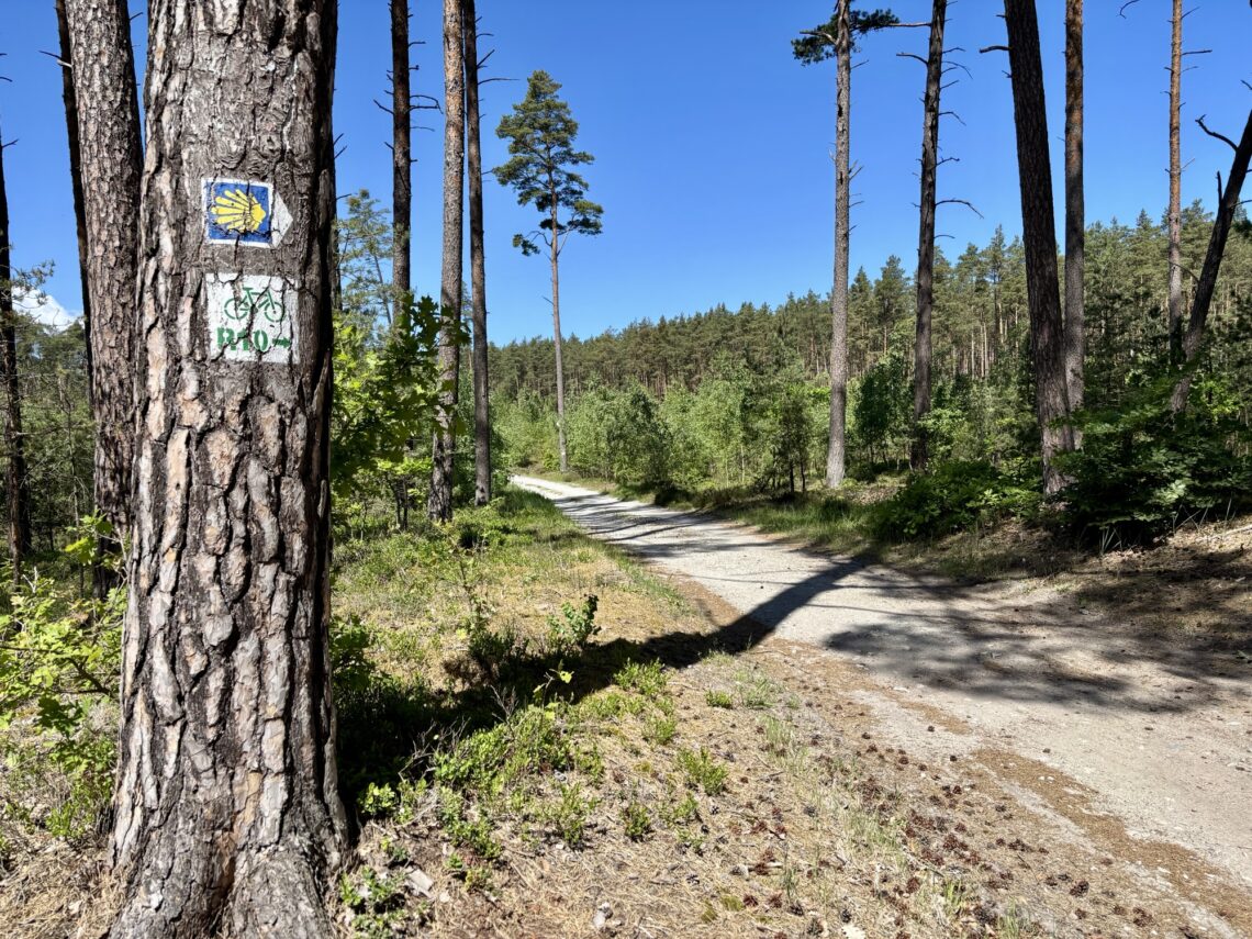 Radfahren in Polen: Über Międzyzdroje nach Świnoujście