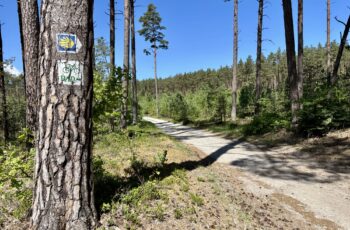 Radfahren in Polen: Über Międzyzdroje nach Świnoujście