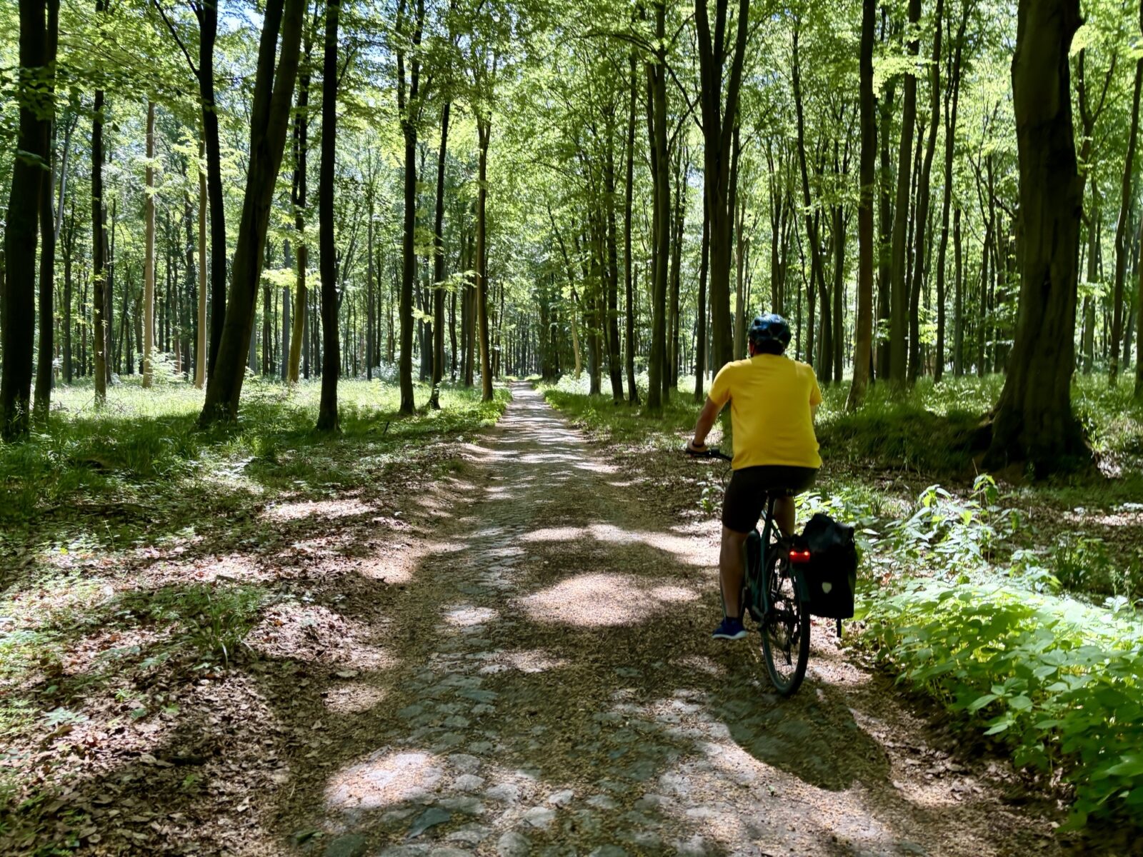Radfahren in Polen: Buchheide und Stettin