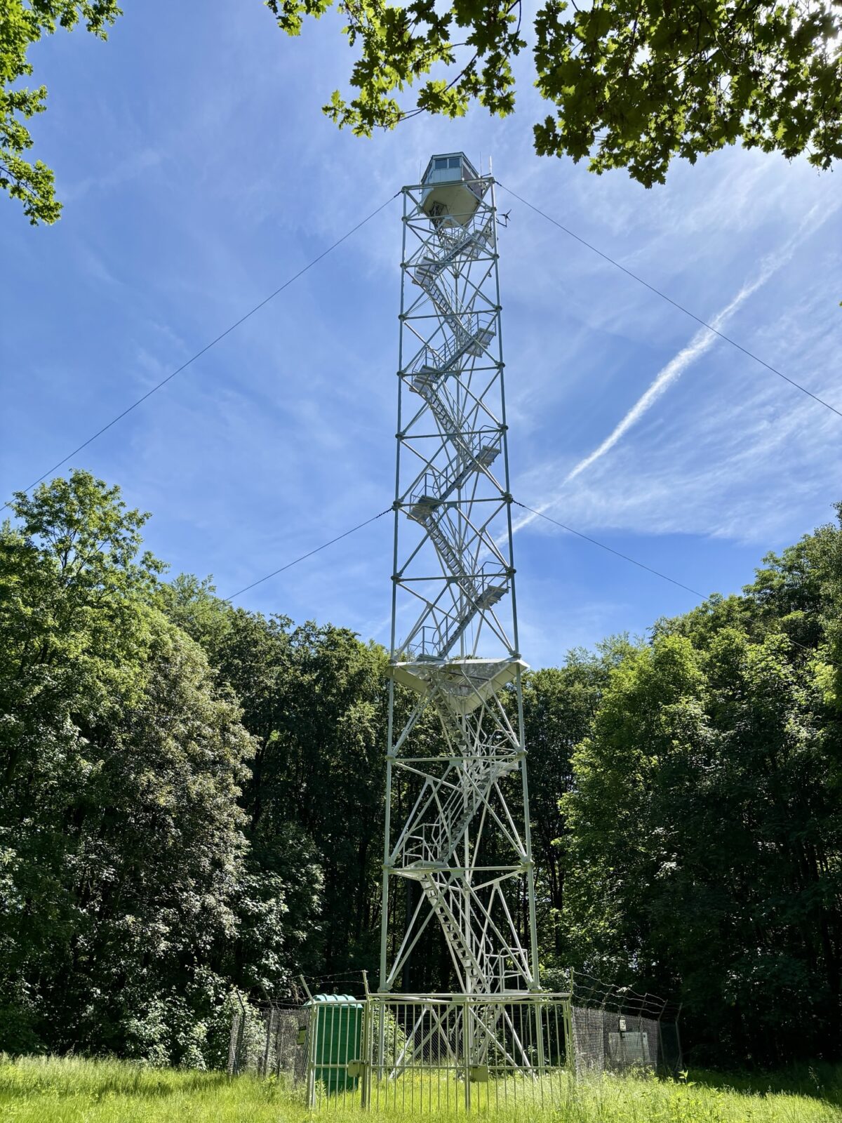 Radfahren in Polen: Buchheide und Stettin