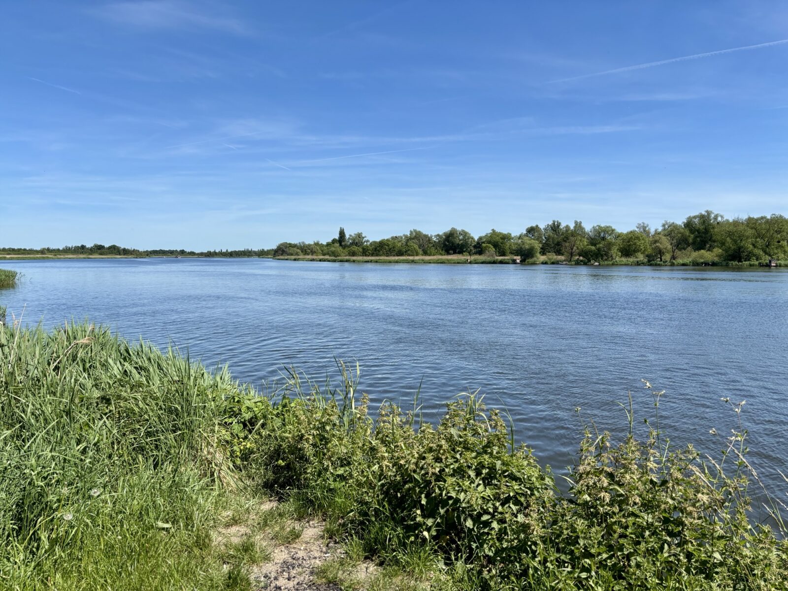 Radfahren in Polen: Buchheide und Stettin