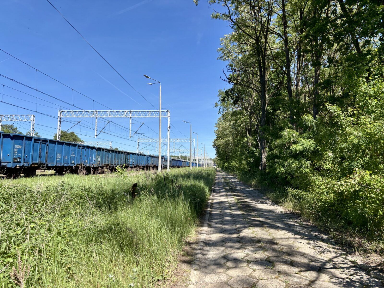 Radfahren in Polen: Buchheide und Stettin